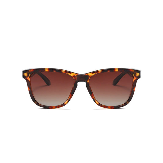 Eyedigo Brown X Brown Wayfafer stylish sunglasses.