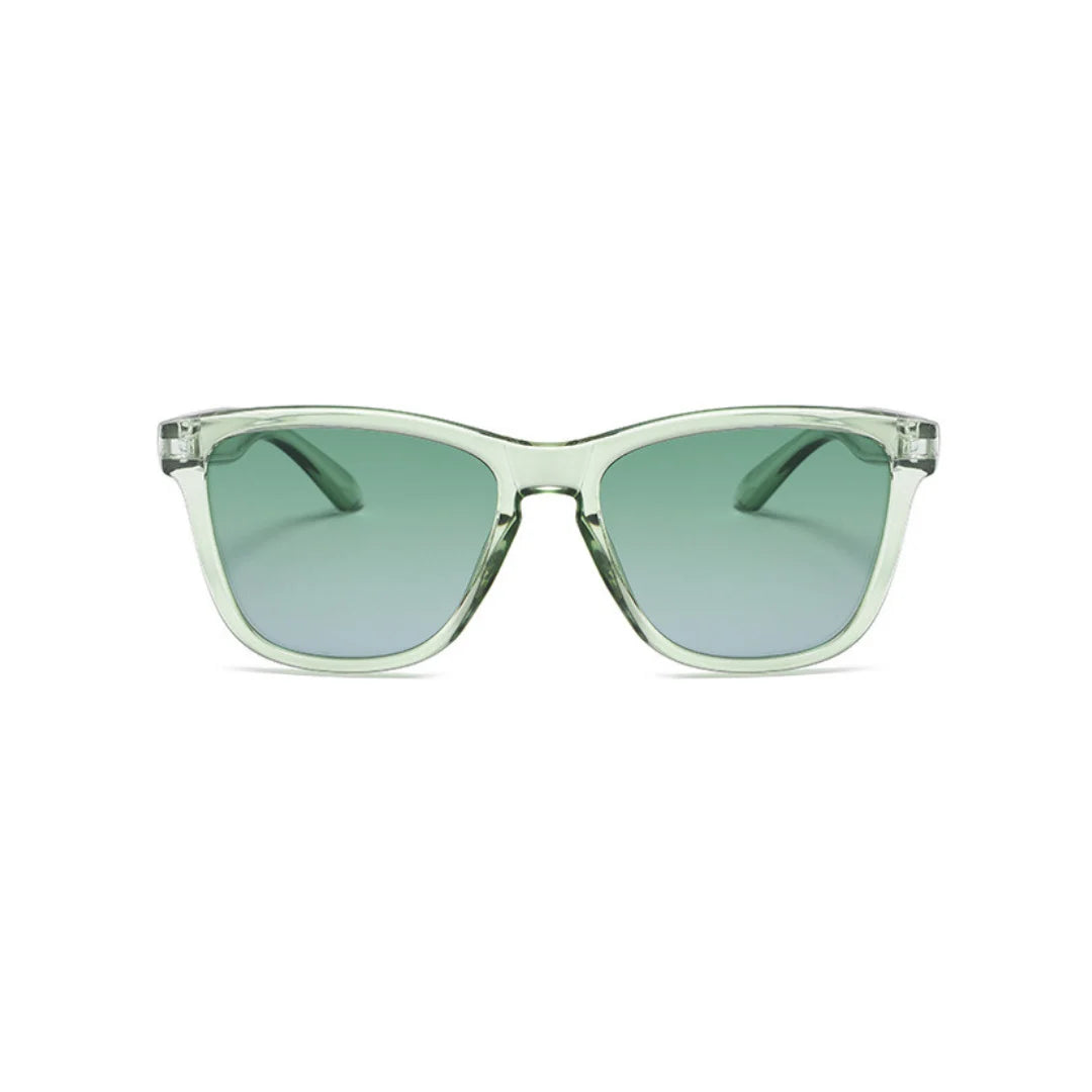 Eyedigo Green X Clear Green Wayfafer Stylish sunglasses.