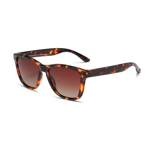 Eyedigo Brown X Brown Wayfafer stylish sunglasses.