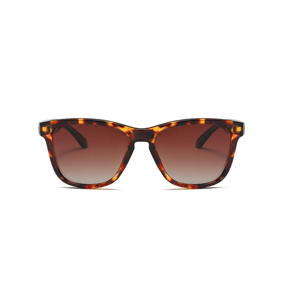 Eyedigo Brown X Brown Wayfafer stylish sunglasses.