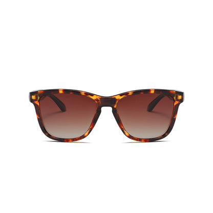 Eyedigo Brown X Brown Wayfafer stylish sunglasses.