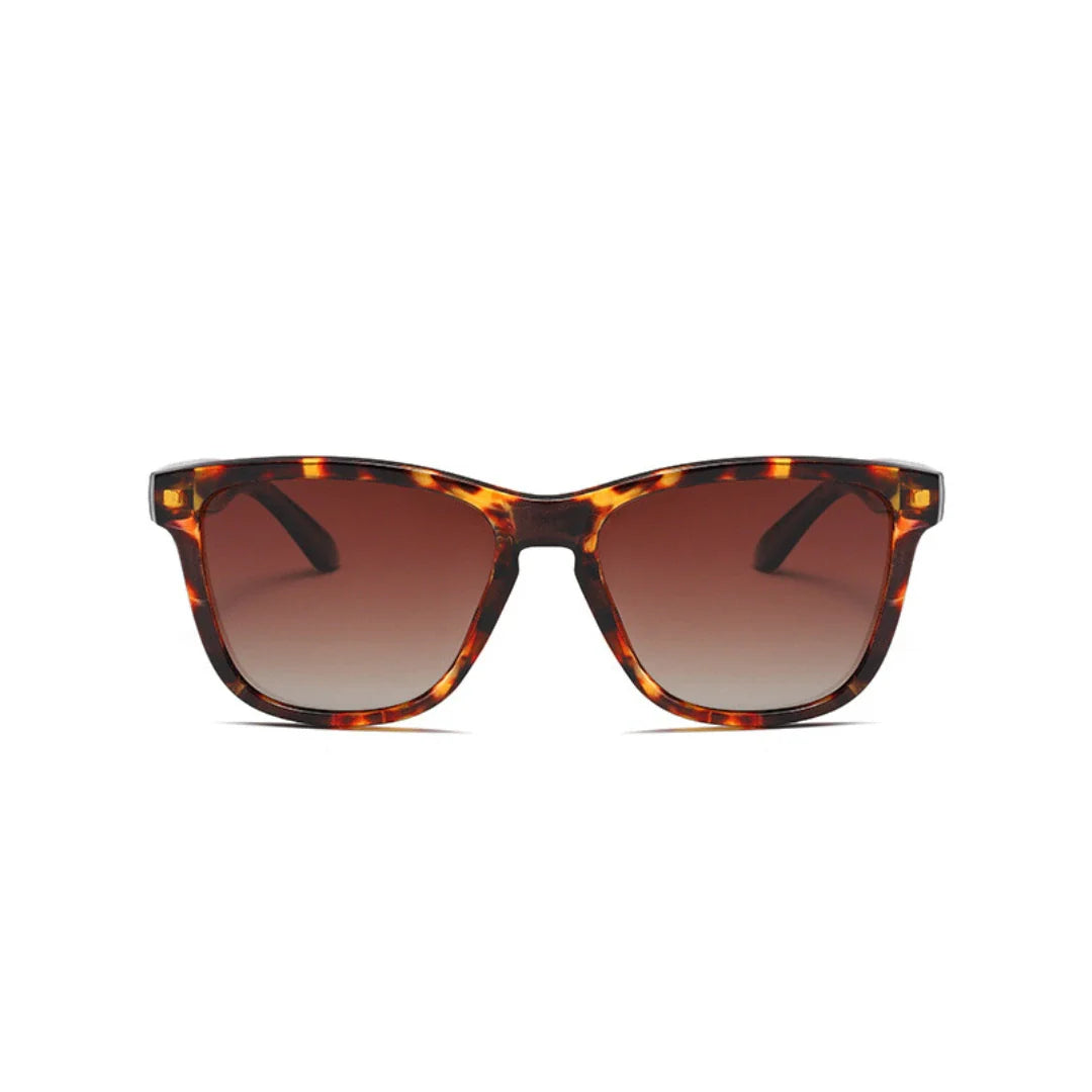 Eyedigo Brown X Brown Wayfafer stylish sunglasses.