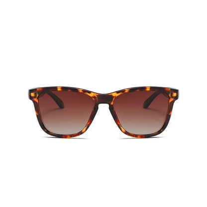 Eyedigo Brown X Brown Wayfafer stylish sunglasses.
