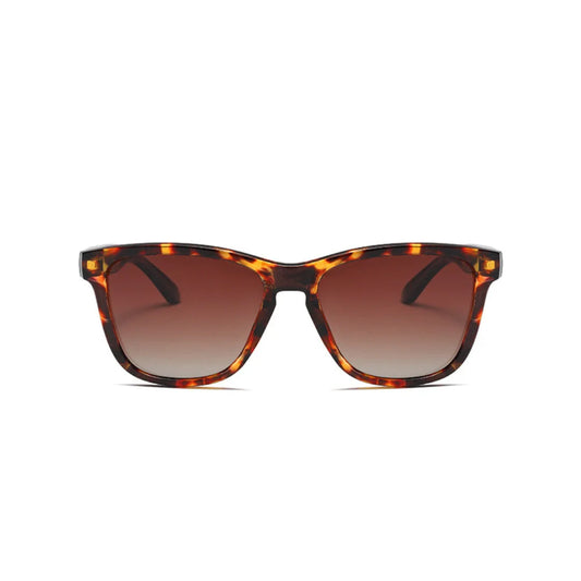 Eyedigo Brown X Brown Wayfafer stylish sunglasses.